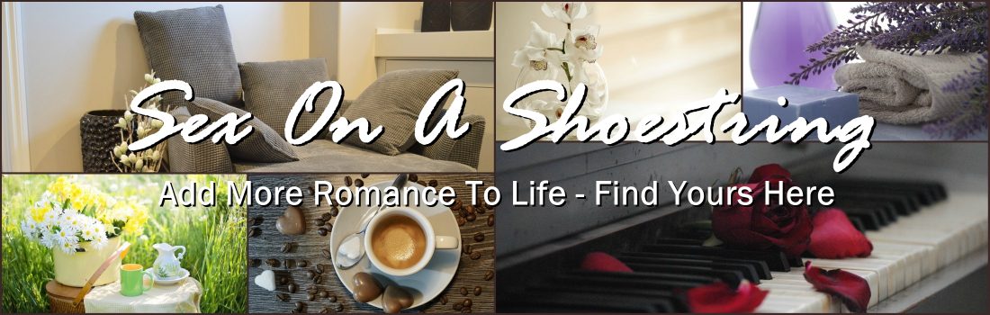 Sex on a Shoestring - Romance Without High Finance